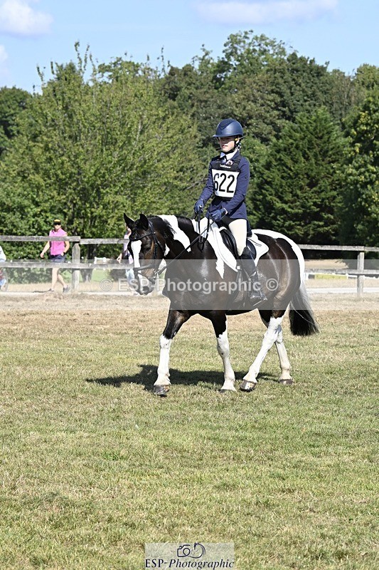 250822A-105435-20503 - DR 10.00 to 11.00