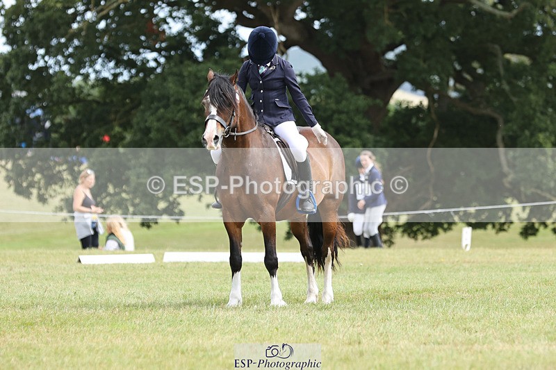 240824X-132345-27306 - D80 Section G and H 12.00 to 13.30