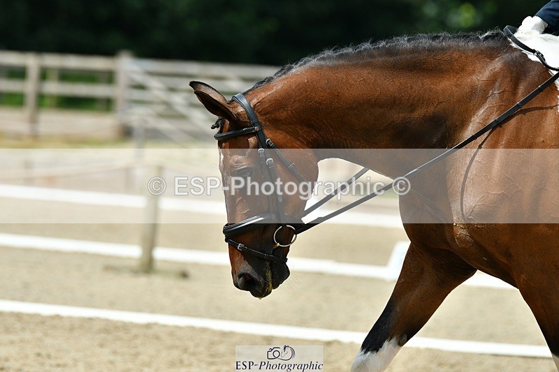 230623-111606-00411 - Cls 3 Novice 23 Start to 11.55 break