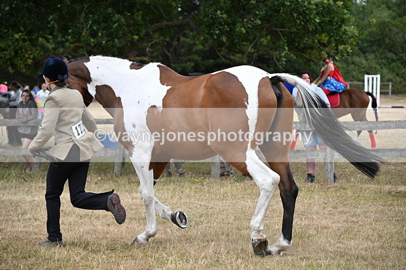 WJ6_8157 - Class 10 Coloured in Hand
