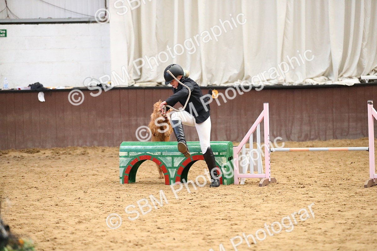 SBM_001152 - Class 3 - Horse & Hound