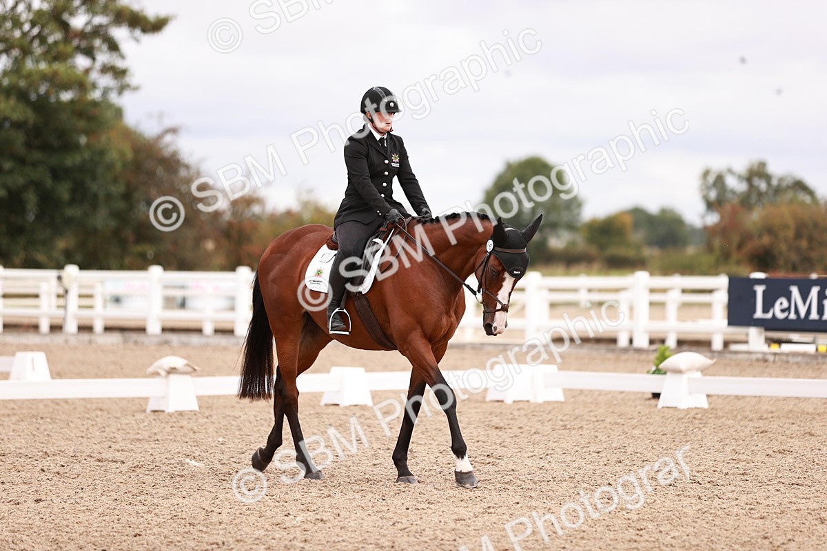 SBM_02497