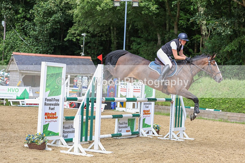 3E7A7589 - Class 9: Senior Foxhunter/1.20 open