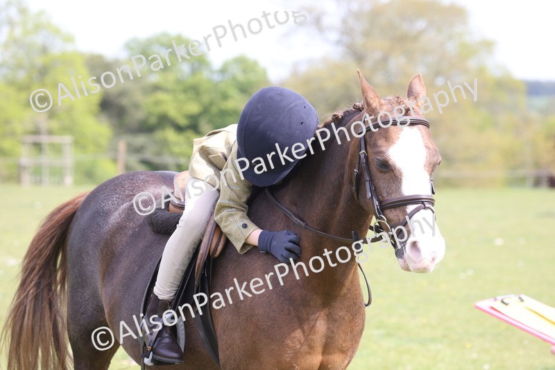 20260426-4071 - Small Pony Championship