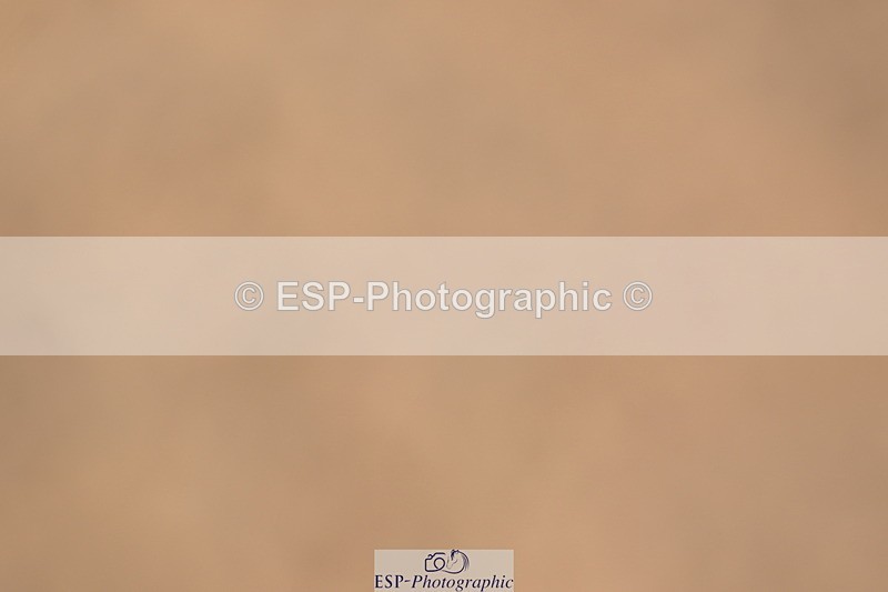 240323A-150824-02384 - UnA Novice 28