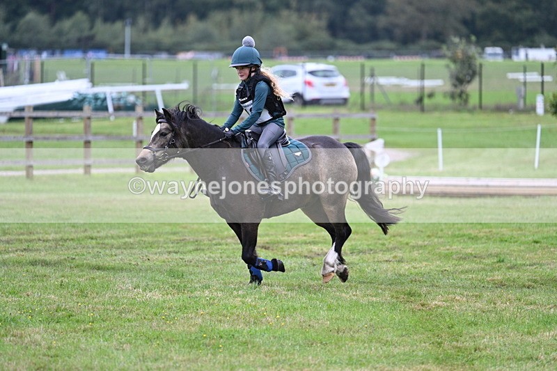 WJ7_7529 - 40cm Time 10:27 to 10:47