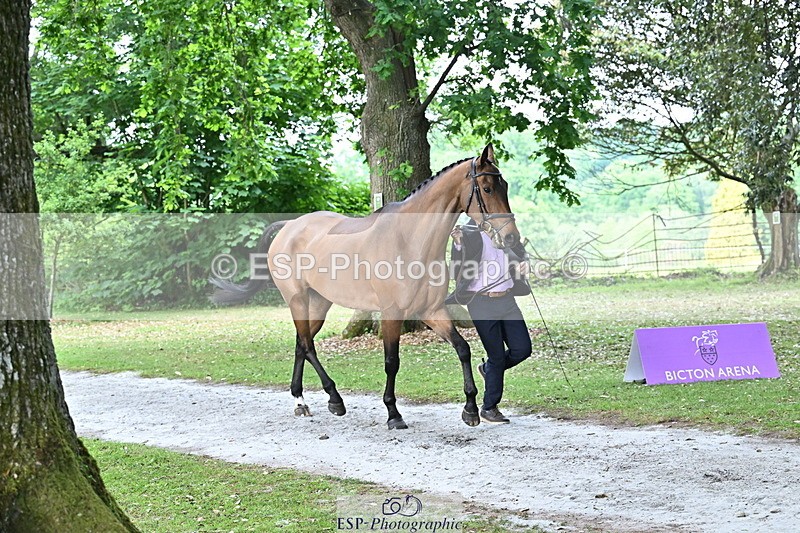 250521A-170432-01504 - C-284-Harry.Dzenis-KILBUNNY.MAXIMUS