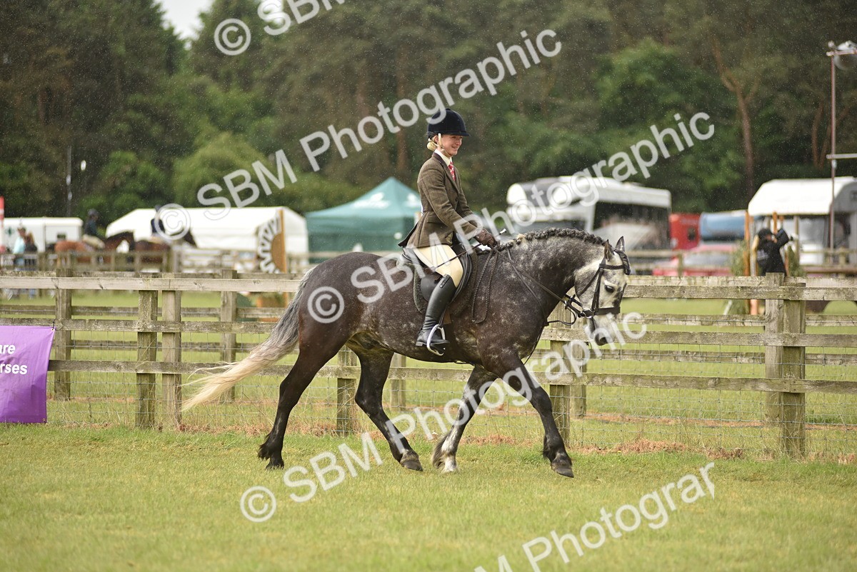 SBM_12097 - Class 110-112 - LIHS BSPS Performance Pones