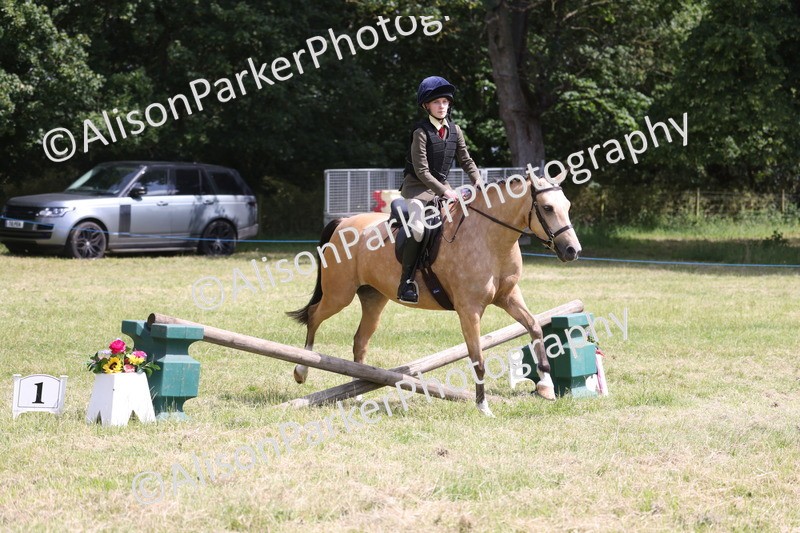 20260614-1772 - Class 21 - Novice Working Hunter Pony
