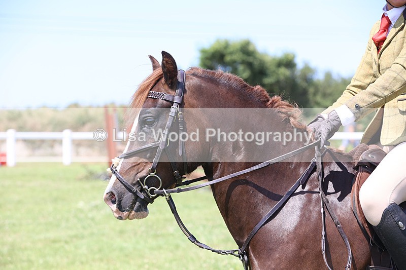 JPP_3035 - Class 22: Working Hunter 70cm