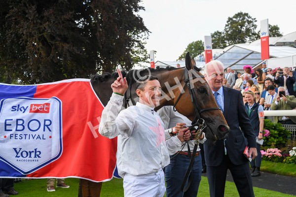 260823-Race 4-Absurde-0965 - Race 4 Sky Bet Ebor Handicap