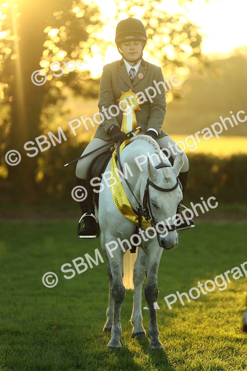 SBM_56642 - Fun & Versatile Supreme Championship