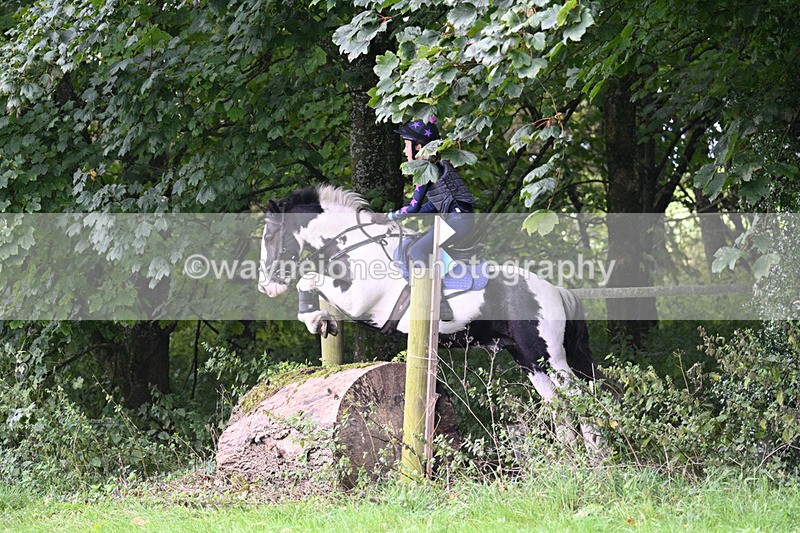 WJ7_8231 - Time 14:11 to 14:30