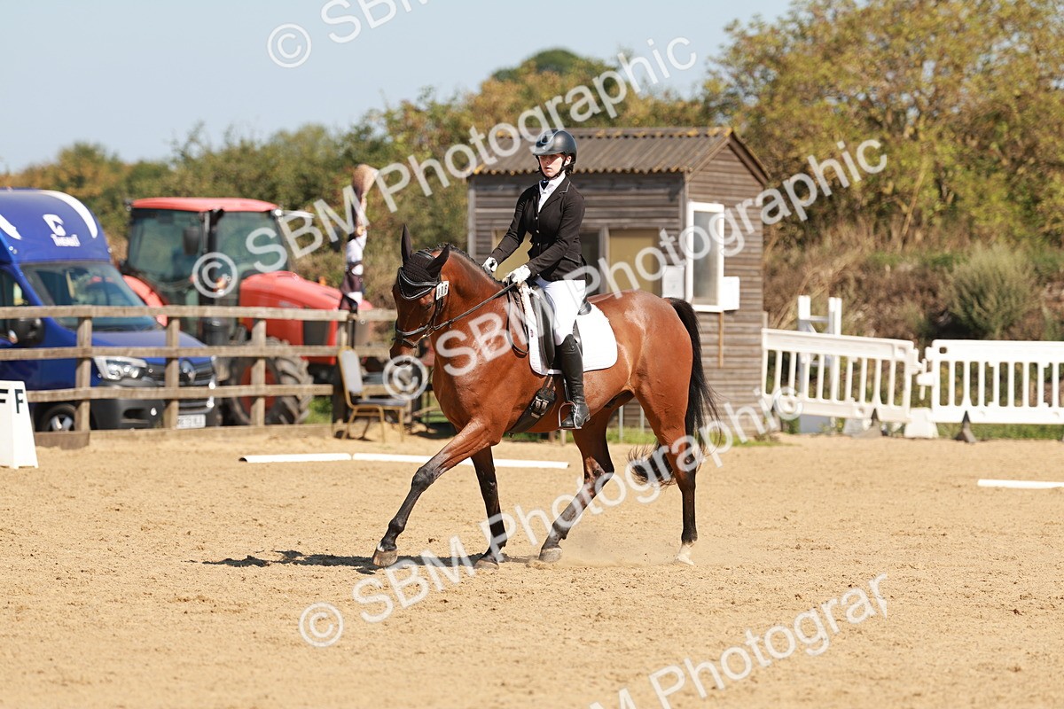 SBM_010806 - Class 7 - Novice 2