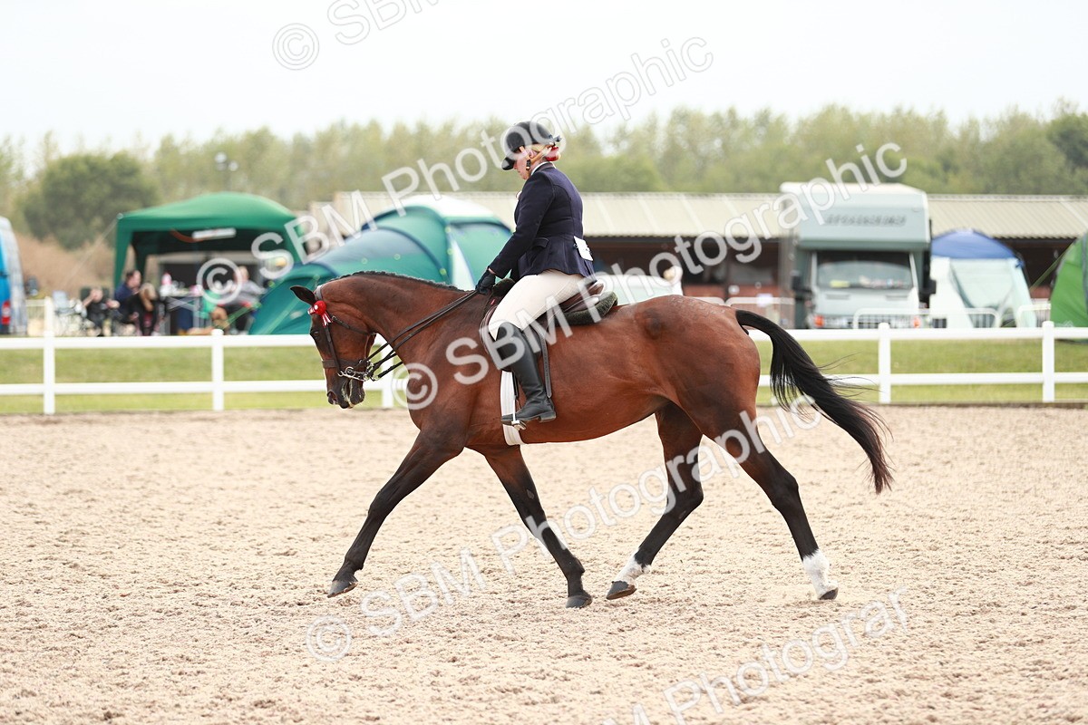 SBM_17606 - Class 215 Ridden Hack/ Riding Horse