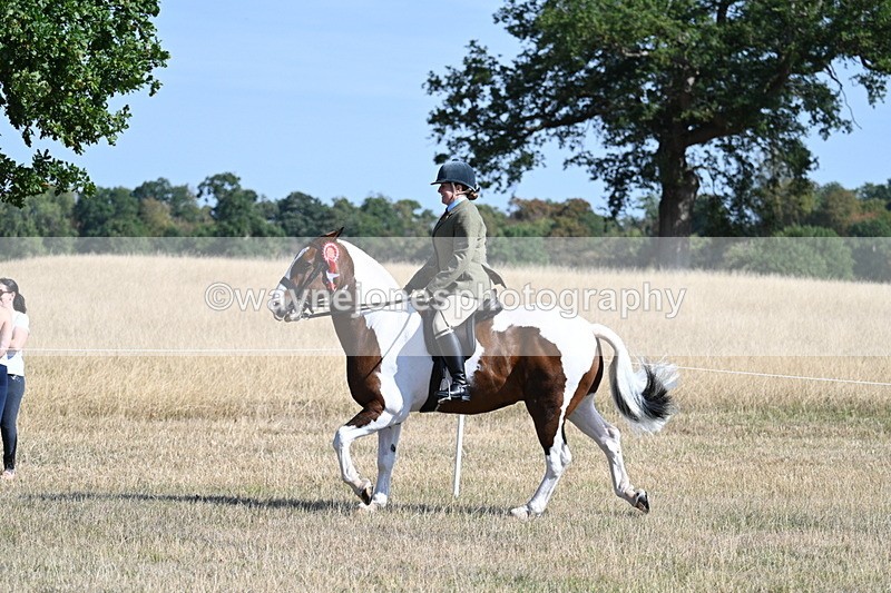 WJ7_3231 - Class 8 Ridden Tack & Turnout