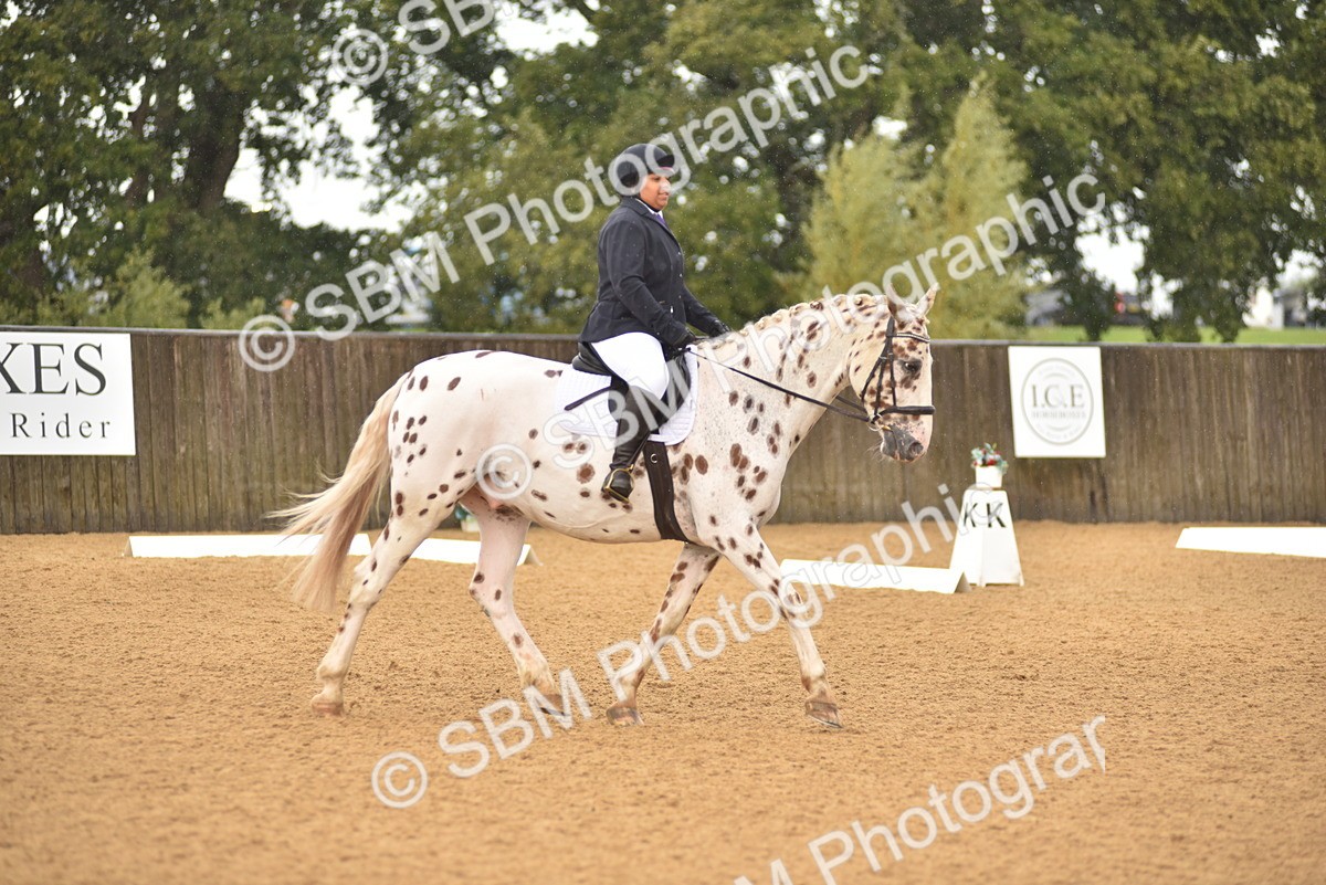 SBM_00391 - D7 - Small Tour Championship Prelim 2