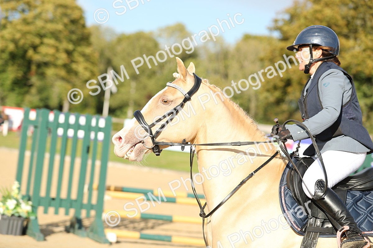 SBM_11442 - J37 - Veteran Rider 75cm