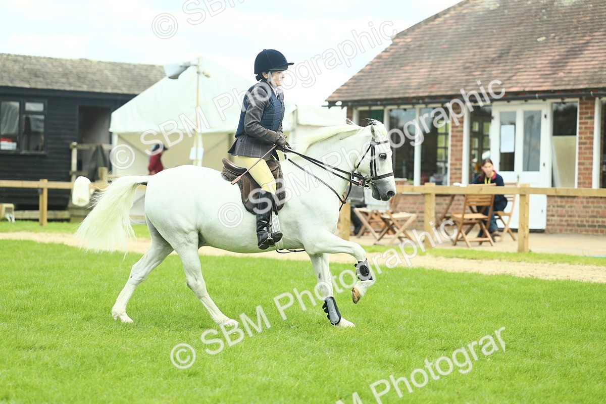 SBM_42795 - S30 - M&M Working hunter Pony