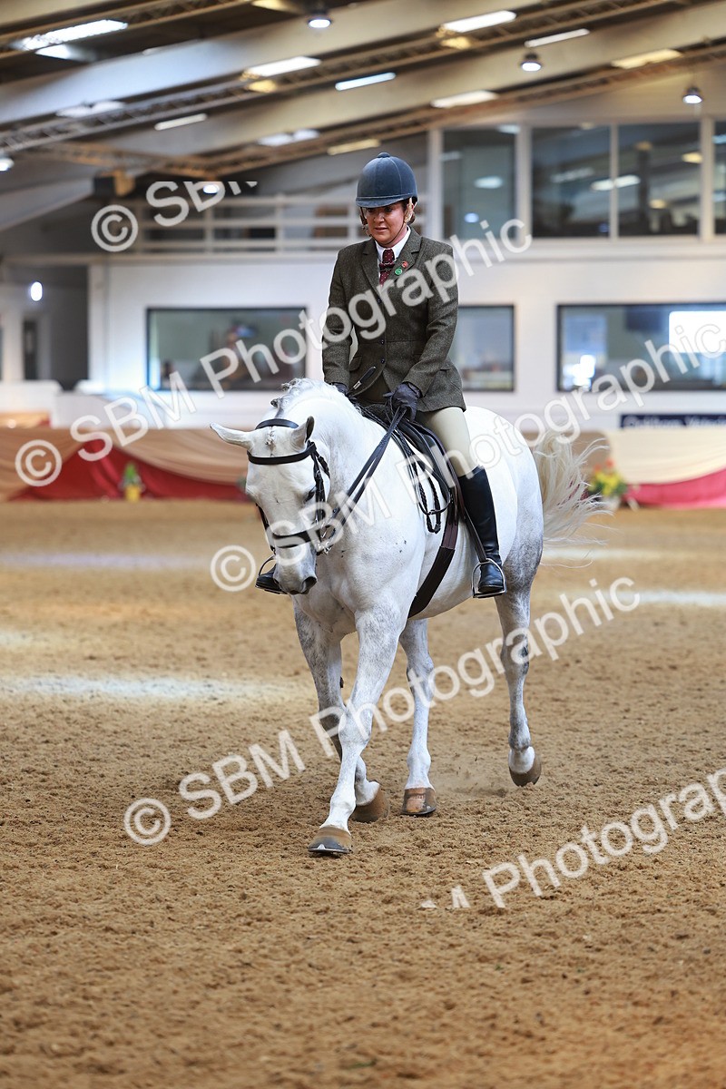 SBM_10611 - Class 103 - HOYS Veteran Qualifier - Ridden Pre Vet