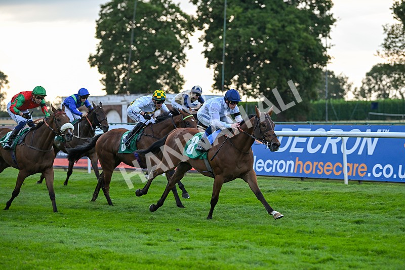 150825-Race 4-Fire Flame-2815 - Race 4