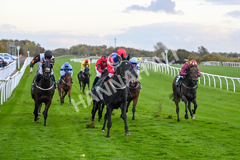 281025-Race 7-Crocodile Power-2113 - Race 7