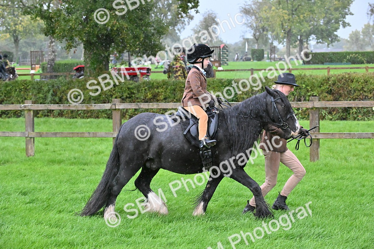 SBM_36462 - S18 - Novice & Newcomer Lead Rein Pony