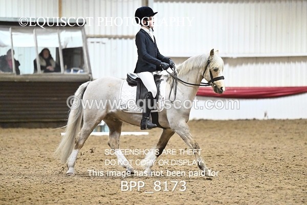 BPP_8173 - INTRO 2