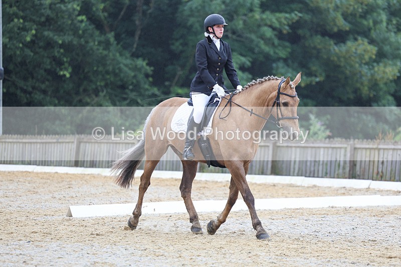 3E7A8585 - Class 2: Intro 3 2024 section B