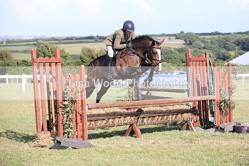JPP_3146 - Class 21: Working Hunter 80cm