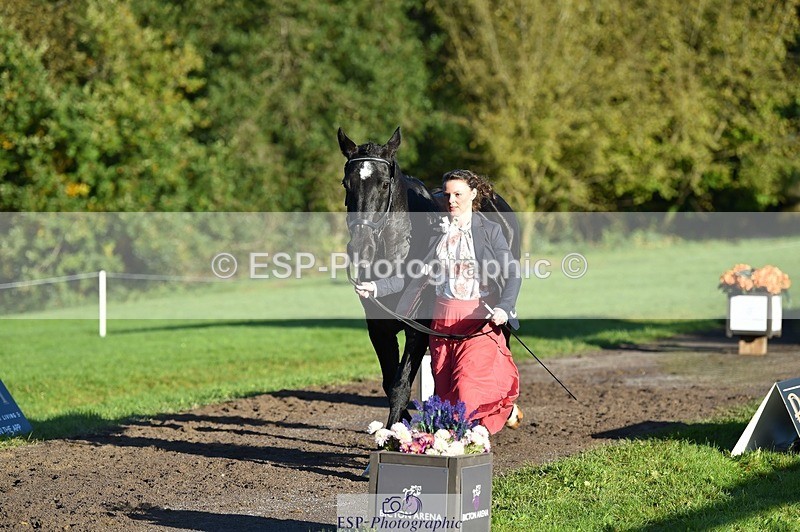 231022-093900-21942 - 414-LAMBORO.SPARKY-Lucy.Jowett-TrotUp+SJ