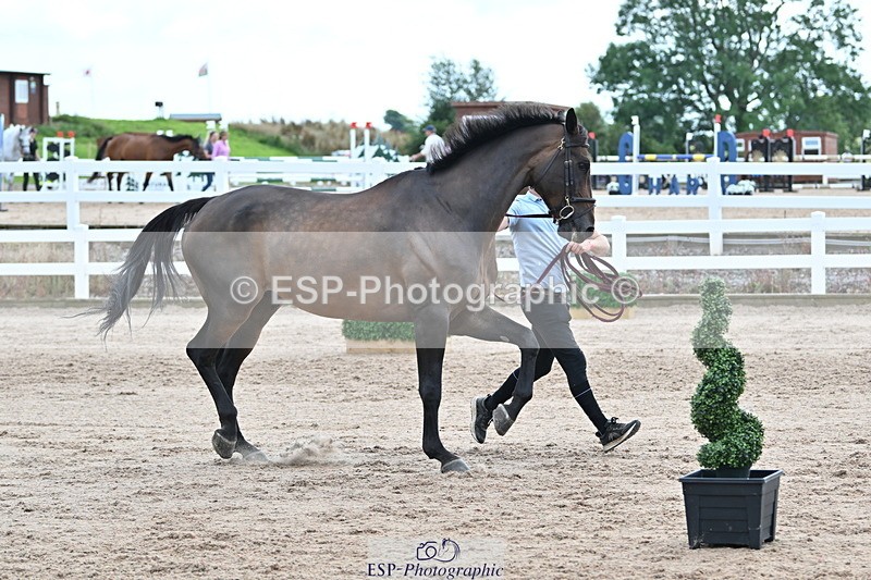 240717A-143246-02124 - Trot Up 2pm to 3pm - This folder is not in time order
