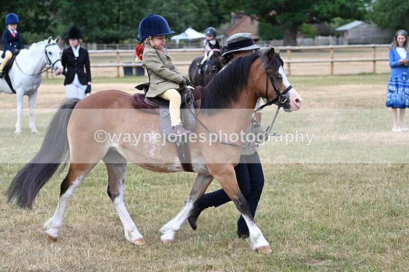 WJ7_9802 - Class 1 Lead Rein Pony