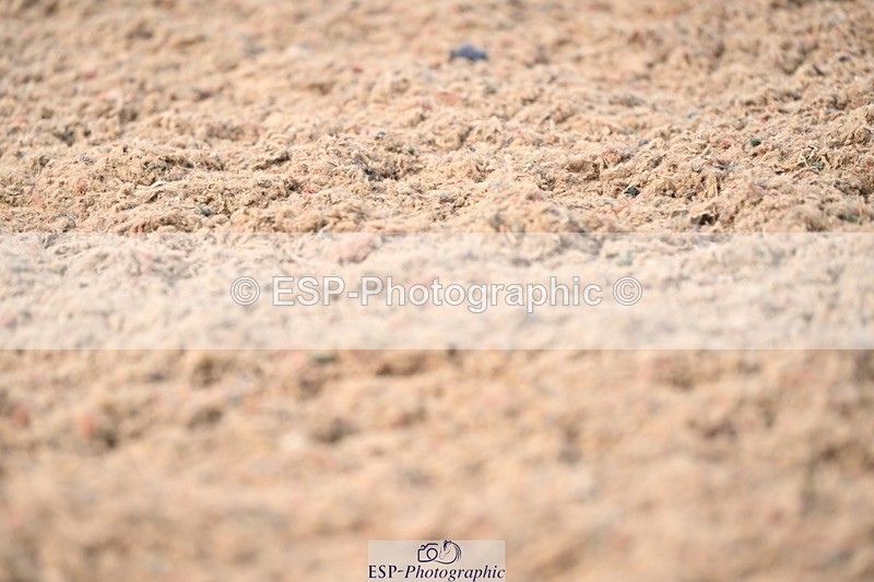 240621A-160309-05096 - Cls 5 MyQuest Prelim 12