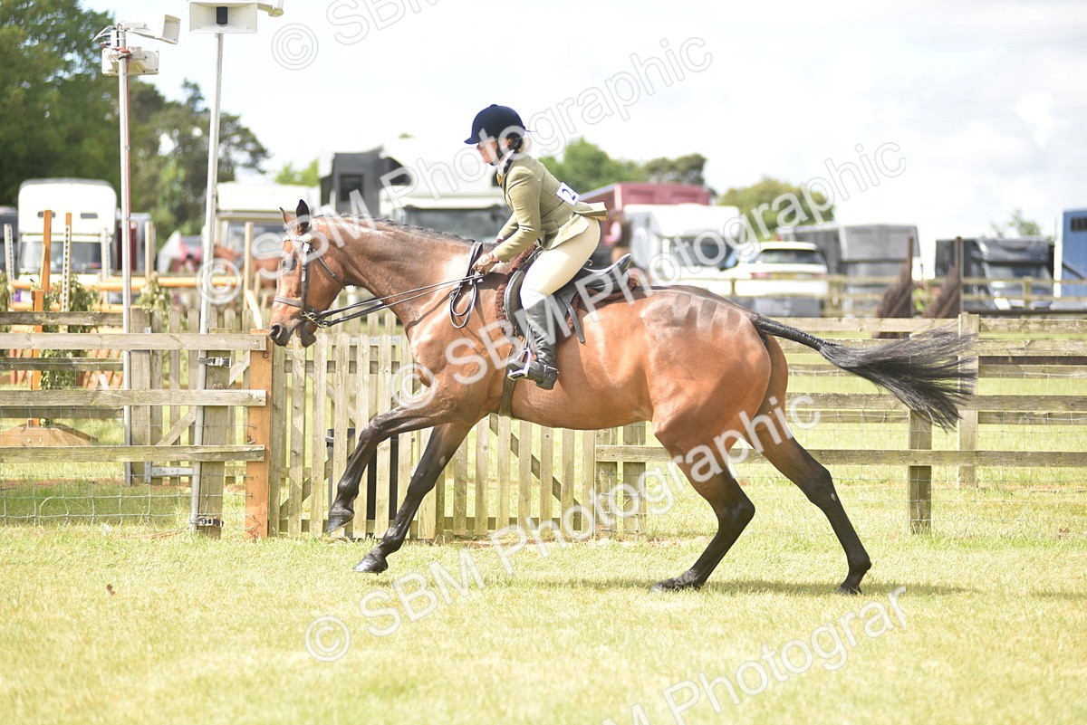 SBM_15092 - Class 113-114 - Retraining of Racehorses Ridden
