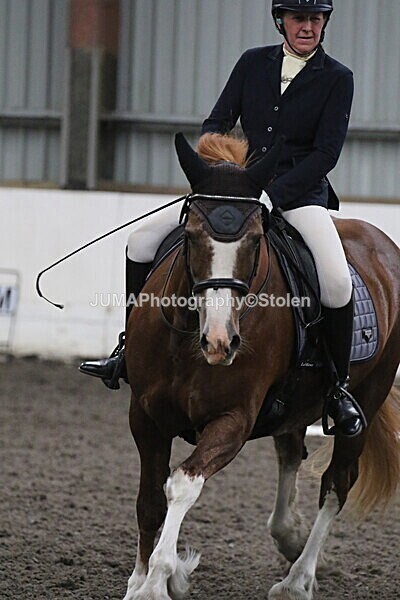SIAL5657 - CAbin Dressage 5th july 2025