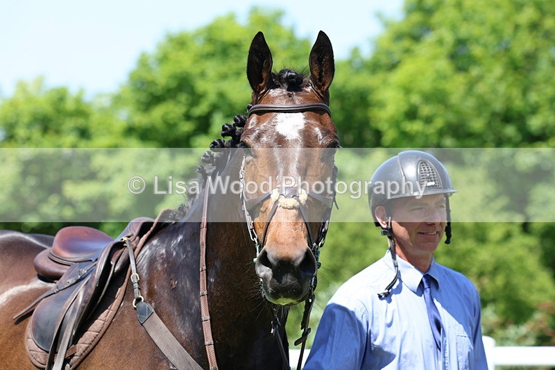 3E7A7372 - Class 30: Novice Working Hunter