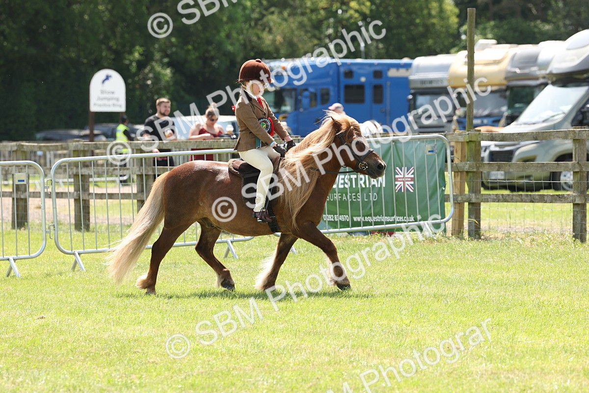 SBM_05367 - Class 24-25 - Mountain & Moorland In Hand Lead Rein and First Ridden