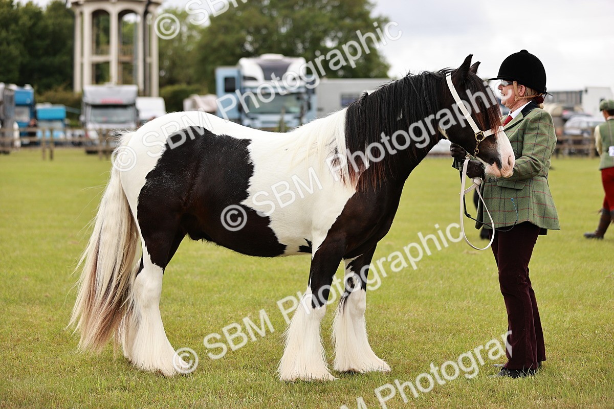 SBM_05982 - Class 39-41 TGCA In Hand and Ridden