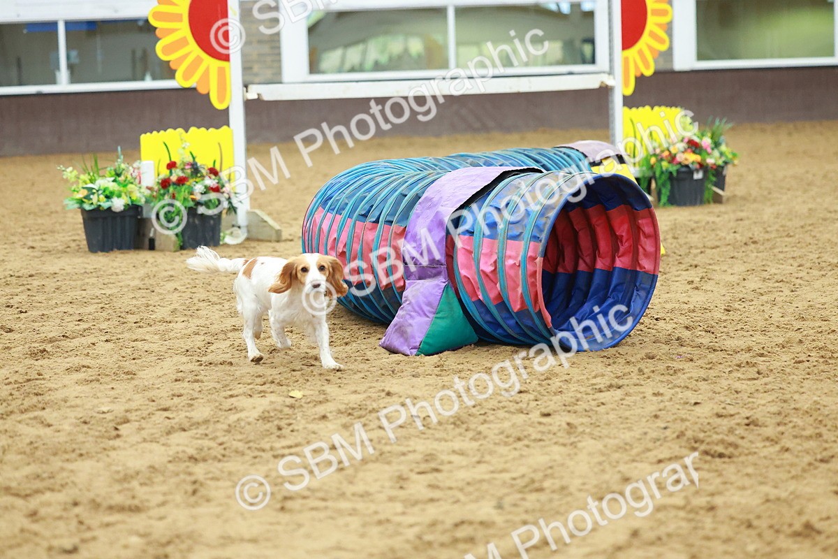 SBM_002528 - Class 3 - Horse & Hound (60cm)
