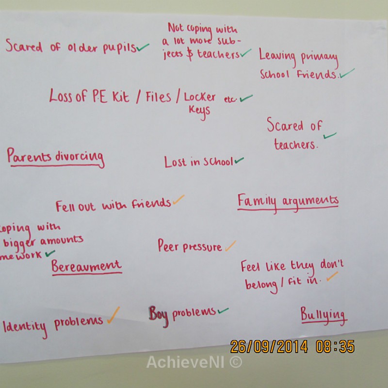  - Peer Mentoring 2014