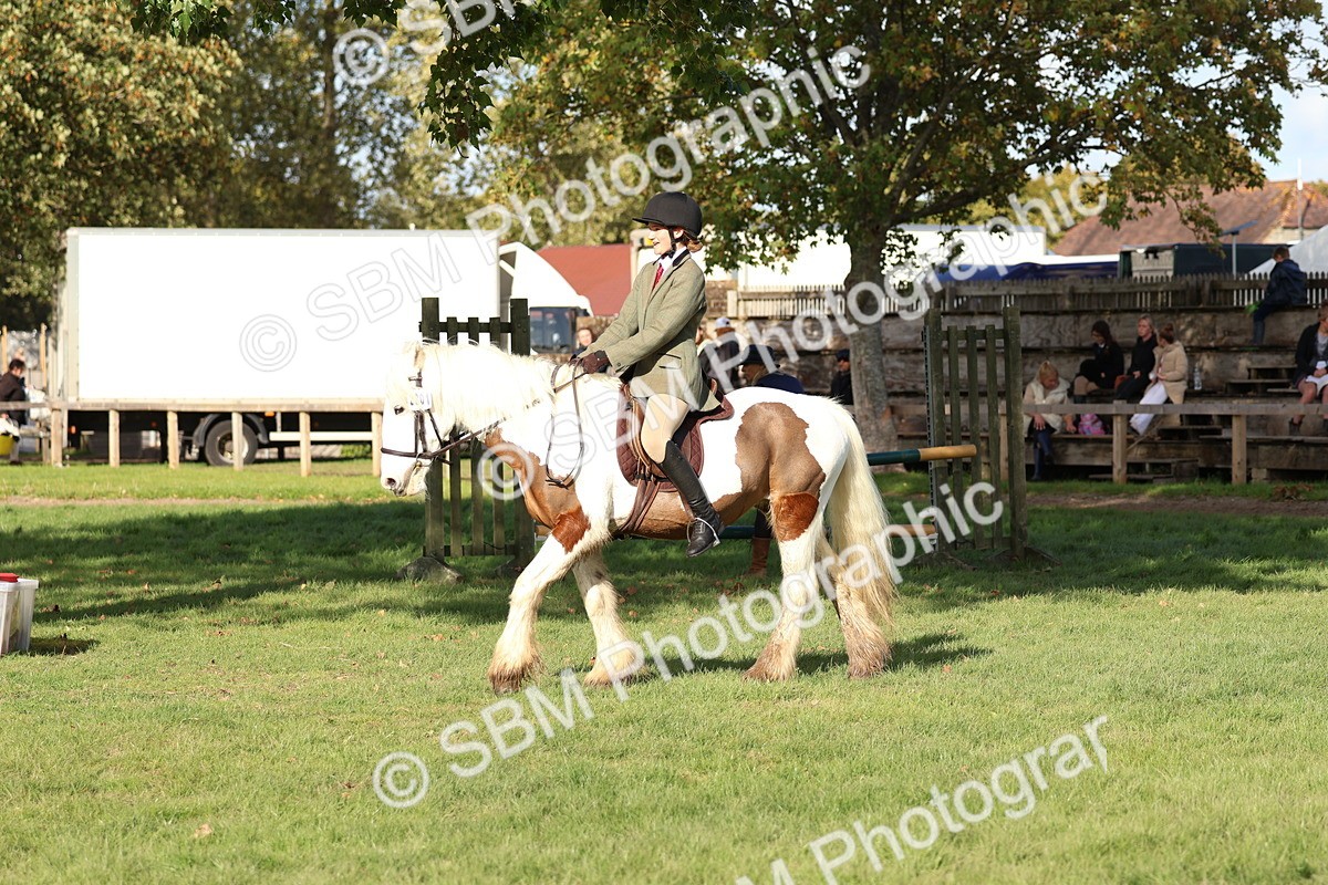 SBM_52476 - S13 - Pony Club Pony