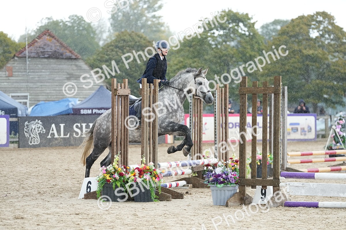 SBM_19661 - J49 - Open 50cm