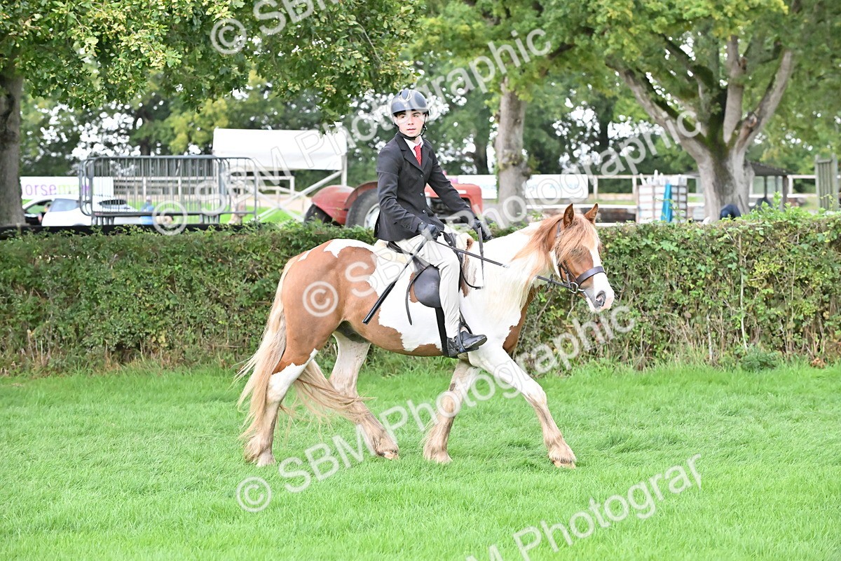 SBM_42918 - S12 - Family Horse & Pony