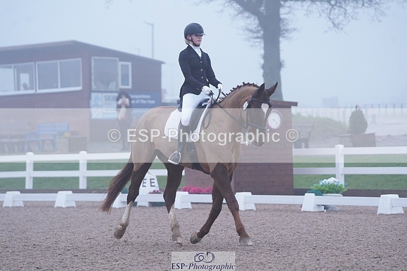 250215-094246-02683 - 142-Daisy.Hedges-Felicia.v