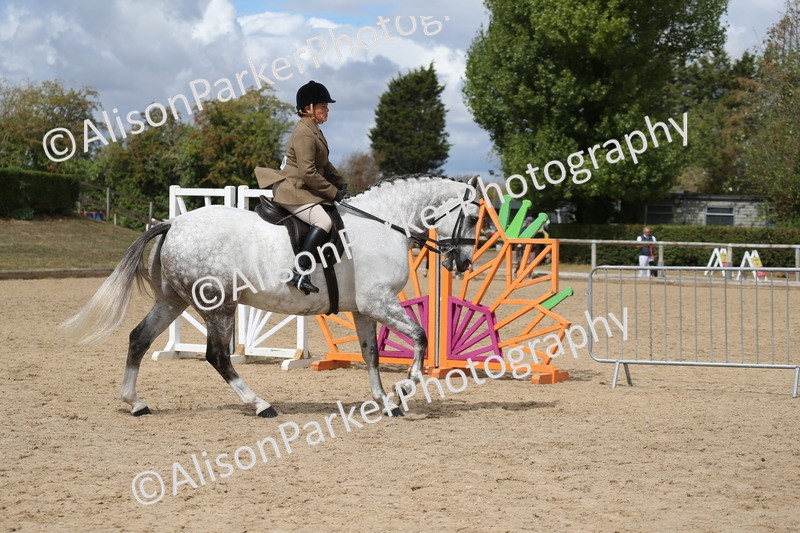 20260831-2727 - Class 16 and 17- Ridden Cob and Hunters