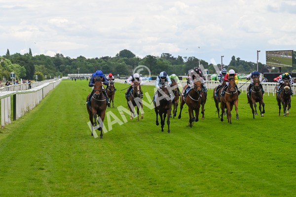 140624-Race 2-Inconspicuous-3952 - Race 2 2.25pm CGE Yorkshire Rous Selling Stakes