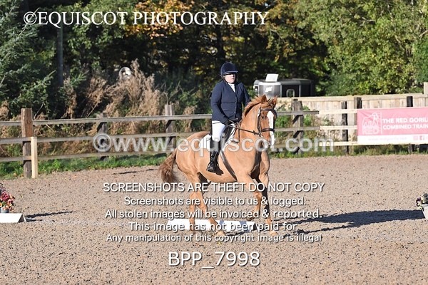 BPP_7998 - LONG ARENA PRELIM 4