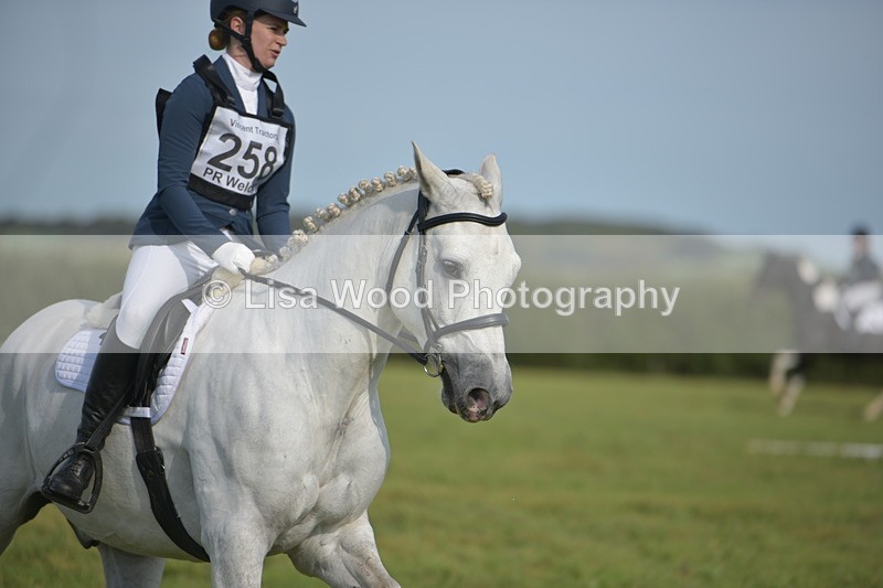 RAY_7690 - Class 2B: Trekenning Open: Dressage