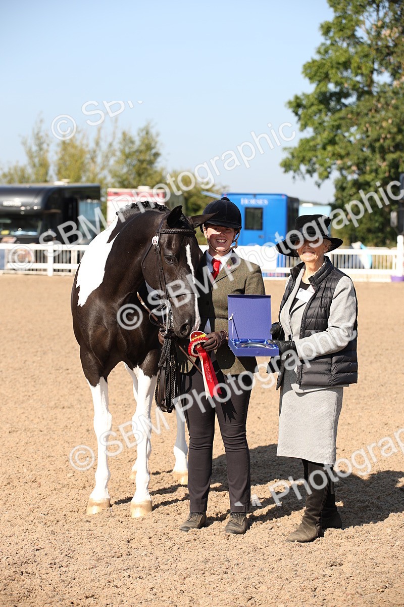 SBM_01559 - Class 15 IH Coloured